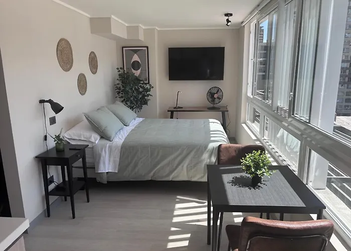 Chic Downtown Santiago Studio